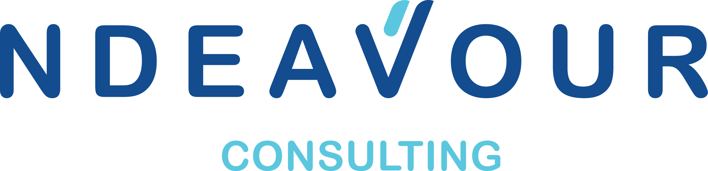 NDEAVOUR CONSULTING
