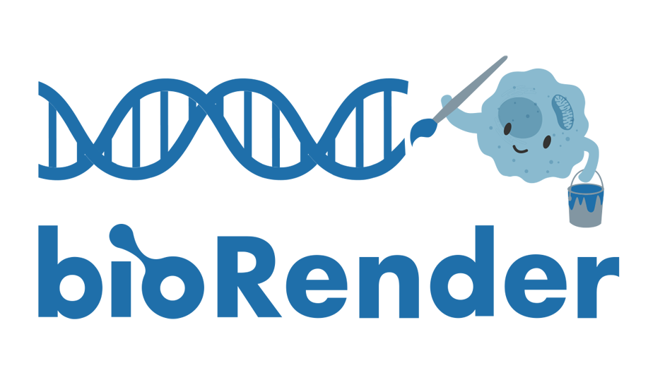 BioRender